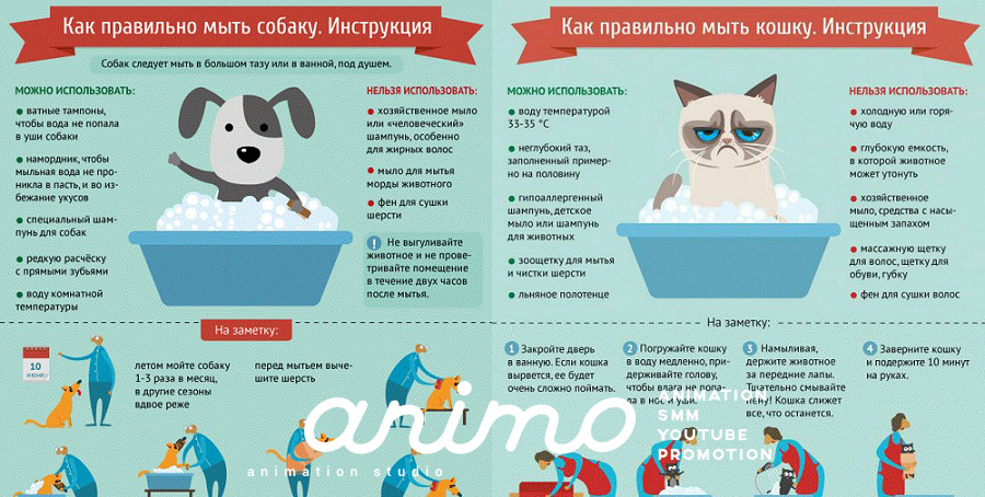 Хотите заказать инфографику? 